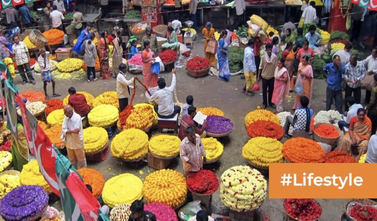 Chick pet In Bangalore: The Ultimate Hood Guide To The Pete