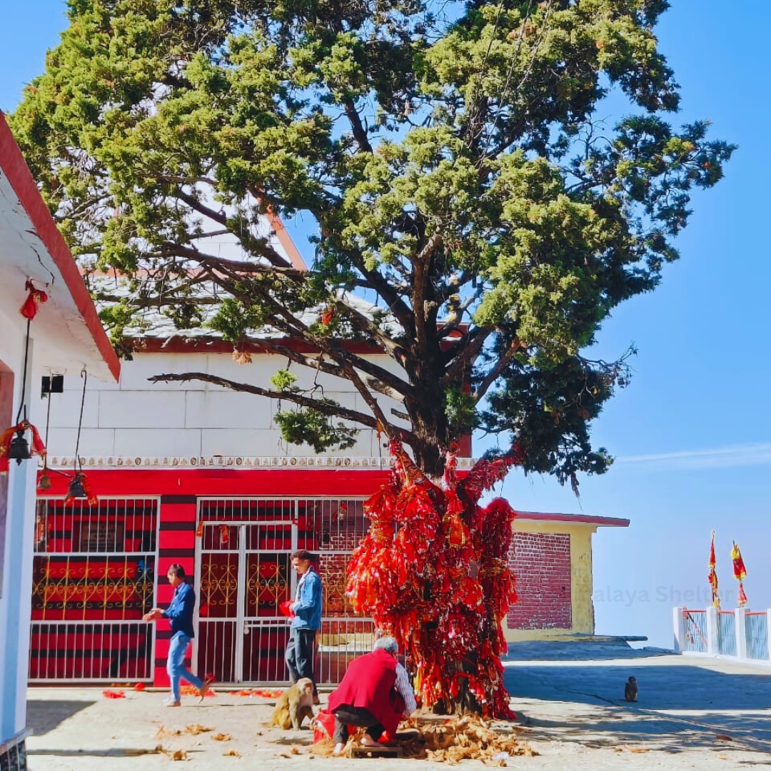 Experience the 1 day hike to Kunjapuri temple! Image